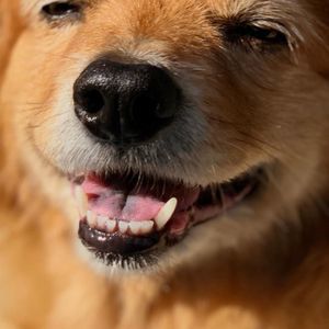 Meet your Posher, Robyn